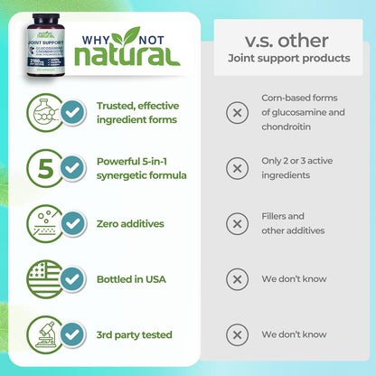 Glucosamine & MSM Joint Support